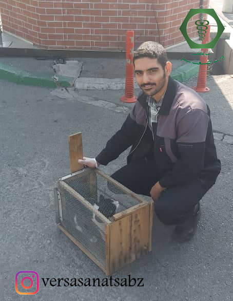 گربه گیری، حمایت از حیوانات، نگهداری از حیوانات، جمع آوری حیوانات